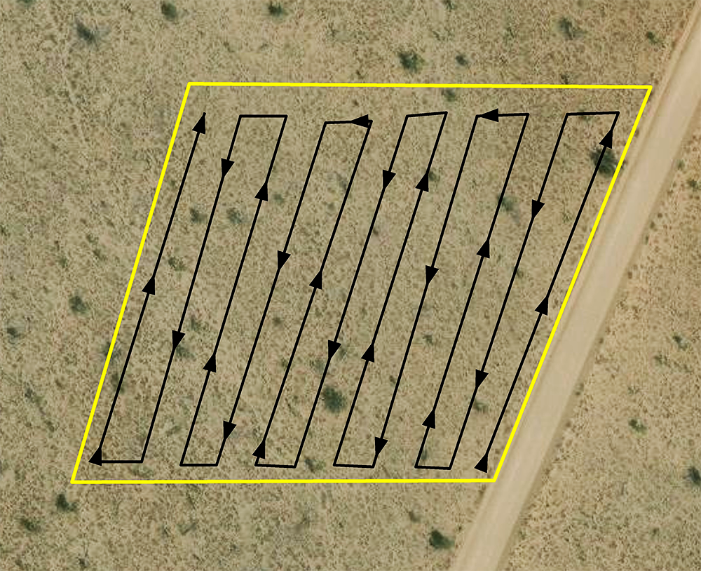 Example of using parallel Survey Transect Method to search a census area for western Joshua trees.